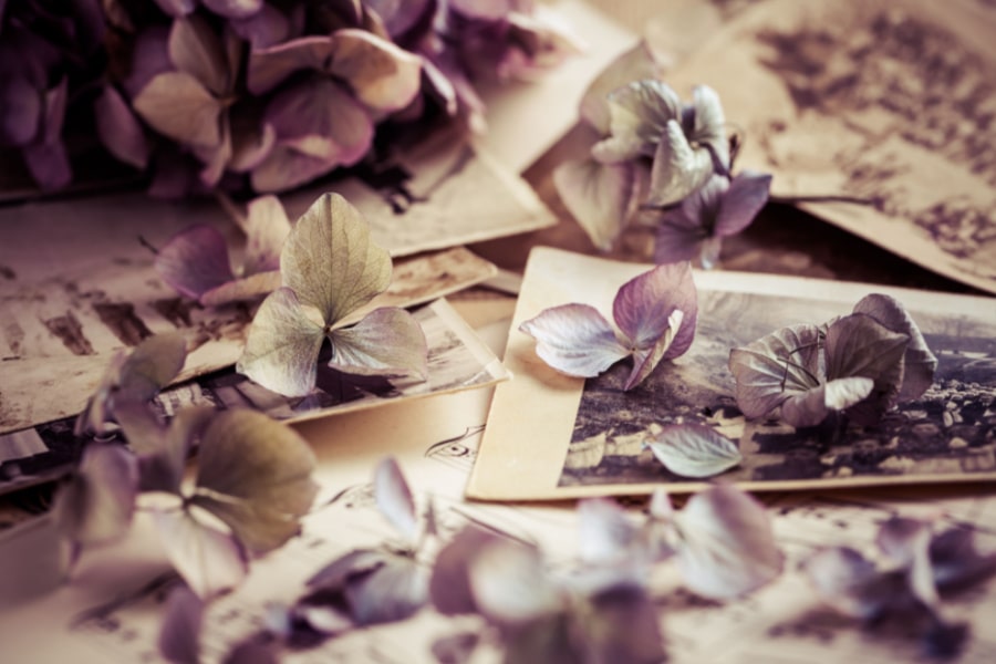 An Online Memorial on Ecorial