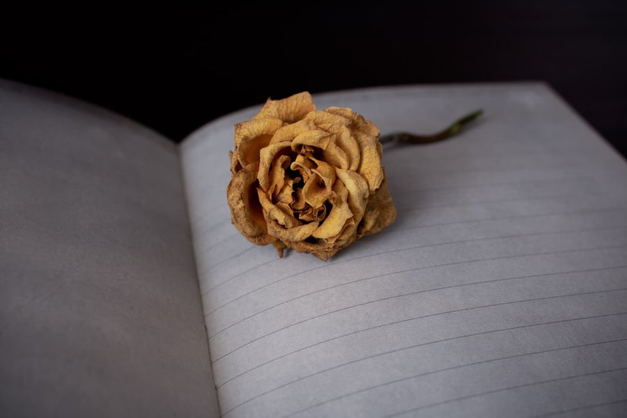 Grief Letter Therapy